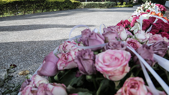 Detalles de flores por los fallecidos