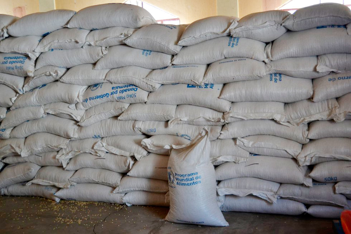 El PMA atenderá este año a 110.000 familias en 84 municipios del país para ayudarles a pasar los meses de hambre estacional