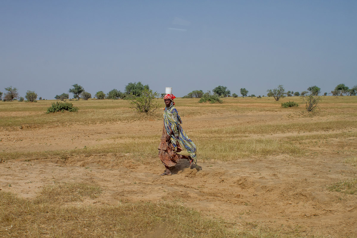 Familias de granjeros y ganaderos se han visto obligadas a huir a causa de los ataques de Boko Haram