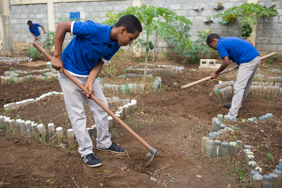 Las escuelas de esta iniciativa tienen sus propios huertos