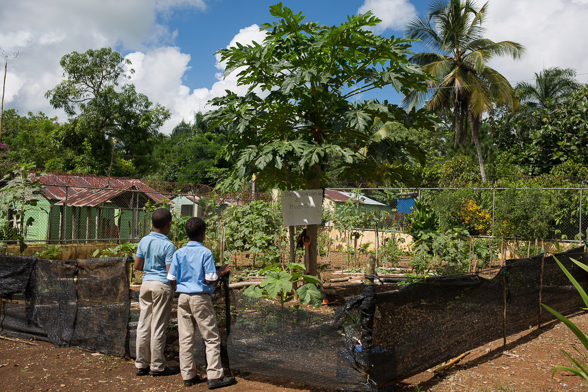 Dos alumnos miran el huerto de la escuela El Mirador, en Monte Plata