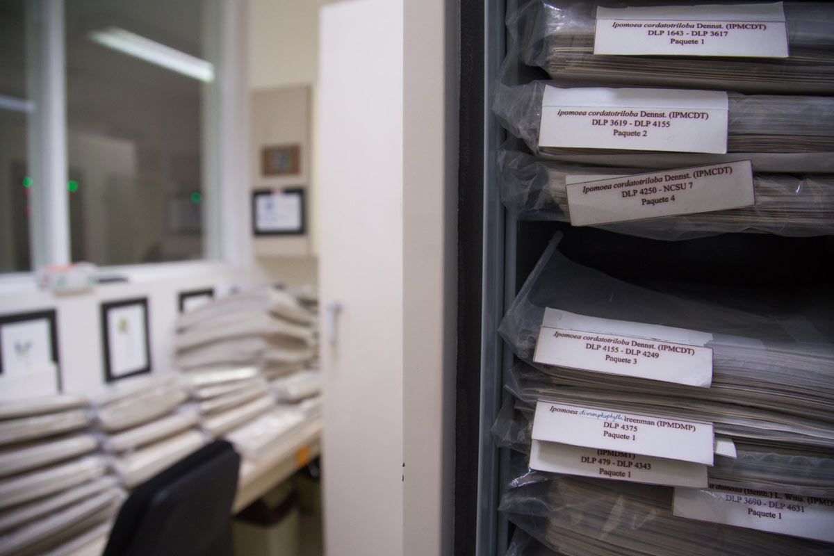 El herbario es el repositorio con más de 4.000 carpetas de plantas y flores disecadas para que quienes producen los tubérculos