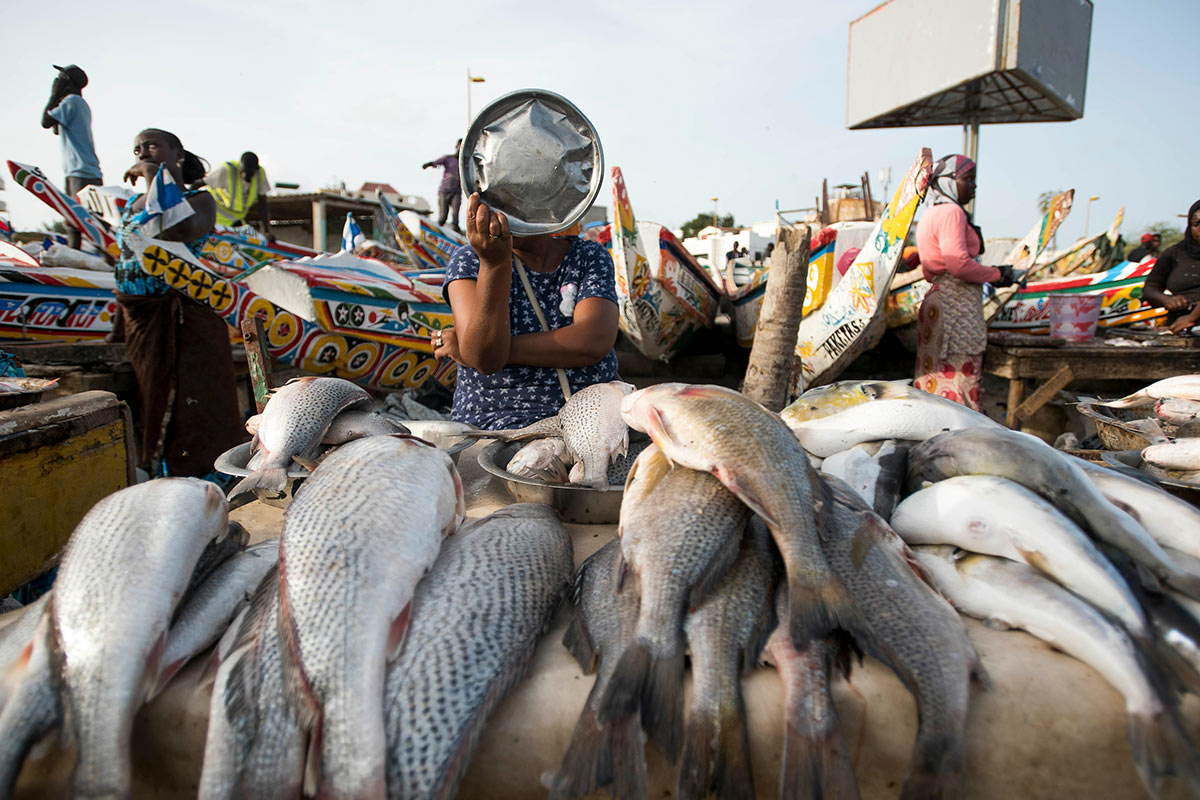 La pesca —además de una pieza básica de su seguridad alimentaria— es una fuente de ingresos relevante