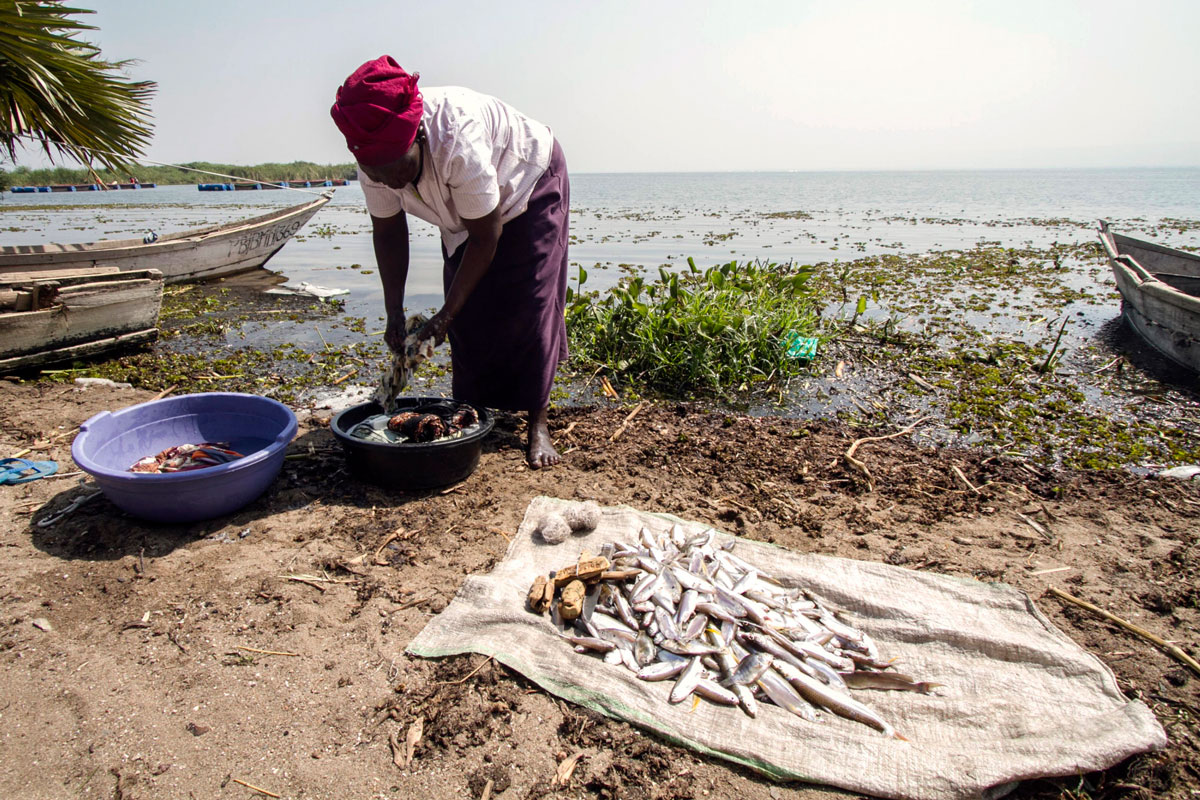 Los efectos del cambio climático