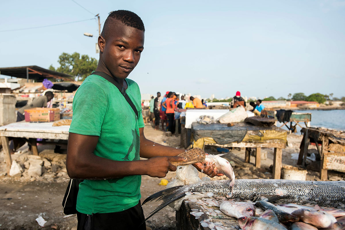 Más de 3.100 millones de personas dependen del pescado para obtener al menos el 20% del total de proteína animal que consumen