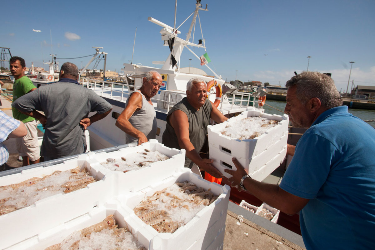 En la imagen, descarga en el puerto de Fiumicino, cerca de Roma (Italia)