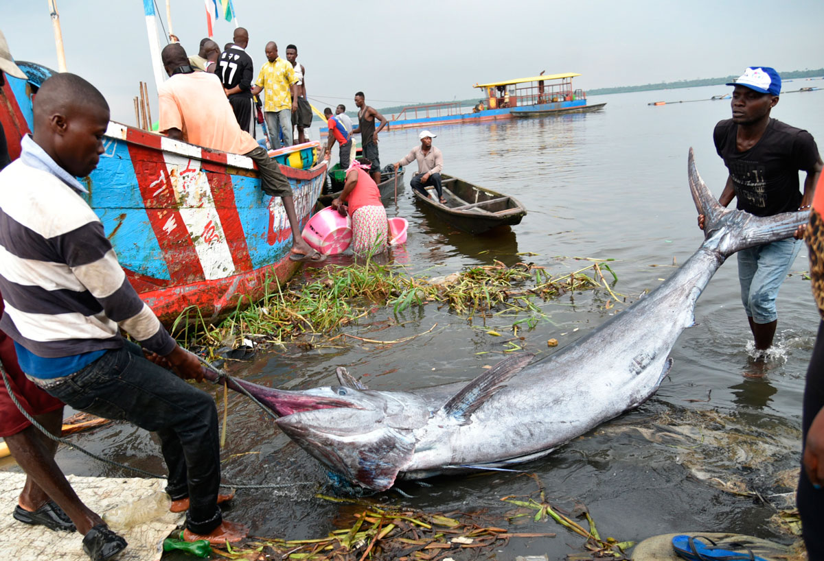 Los bancos de animales acuáticos son un recurso claramente finito