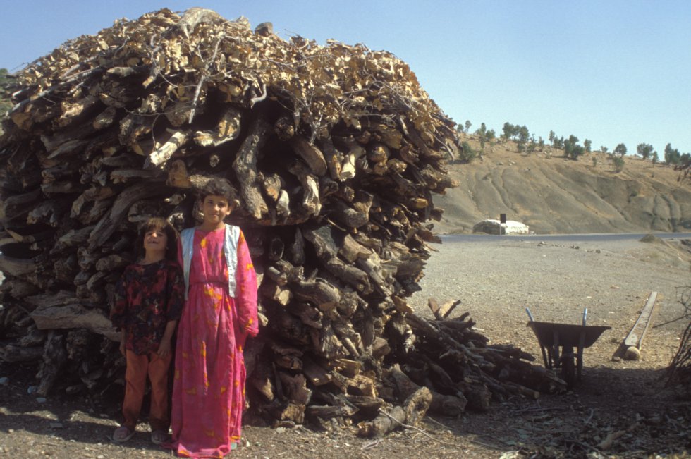 En la imagen, dos niños posan junto a un montón de madera en la zona de Erbil (Irak), en el marco de un proyecto de reforestación
