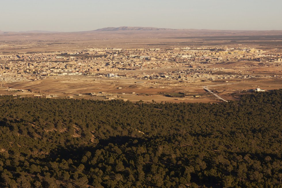 En la imagen, el bosque de Senalba con la ciudad argelina de Djelfa al fondo