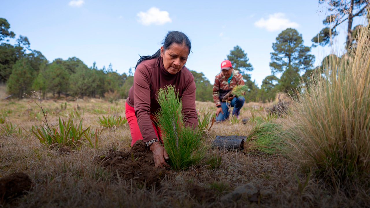 Verde para reabastecer de agua a México