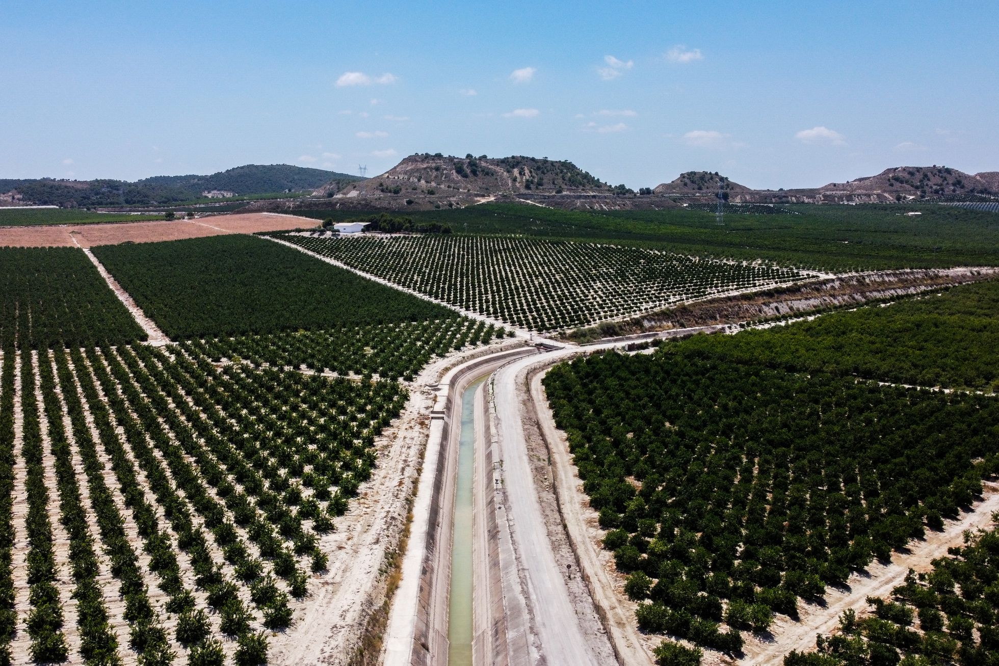 Canal del trasvase Tajo-Segura atravesando explotaciones agrícolas en la zona de la Pedrera (Alicante).