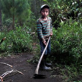 04/03/21. (DVD 1043) Oscar Tut, un niño huerfano que vuve con su tia Rosario en Alta Verapaz, Guatemala.
Jaime Villanueva.