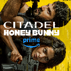 Citadel: Honey Bunny