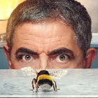 El hombre contra la abeja