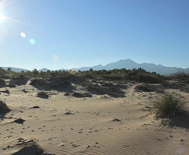 Dunas de Oliva