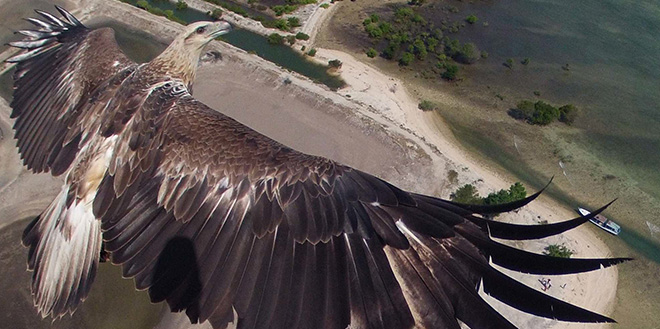 Espectáculo a vista de dron