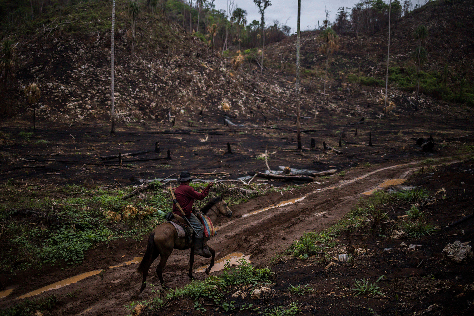 Peten La Frontera Perdida En La Selva Internacional El Pais