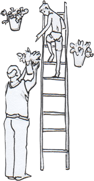 Ilustración