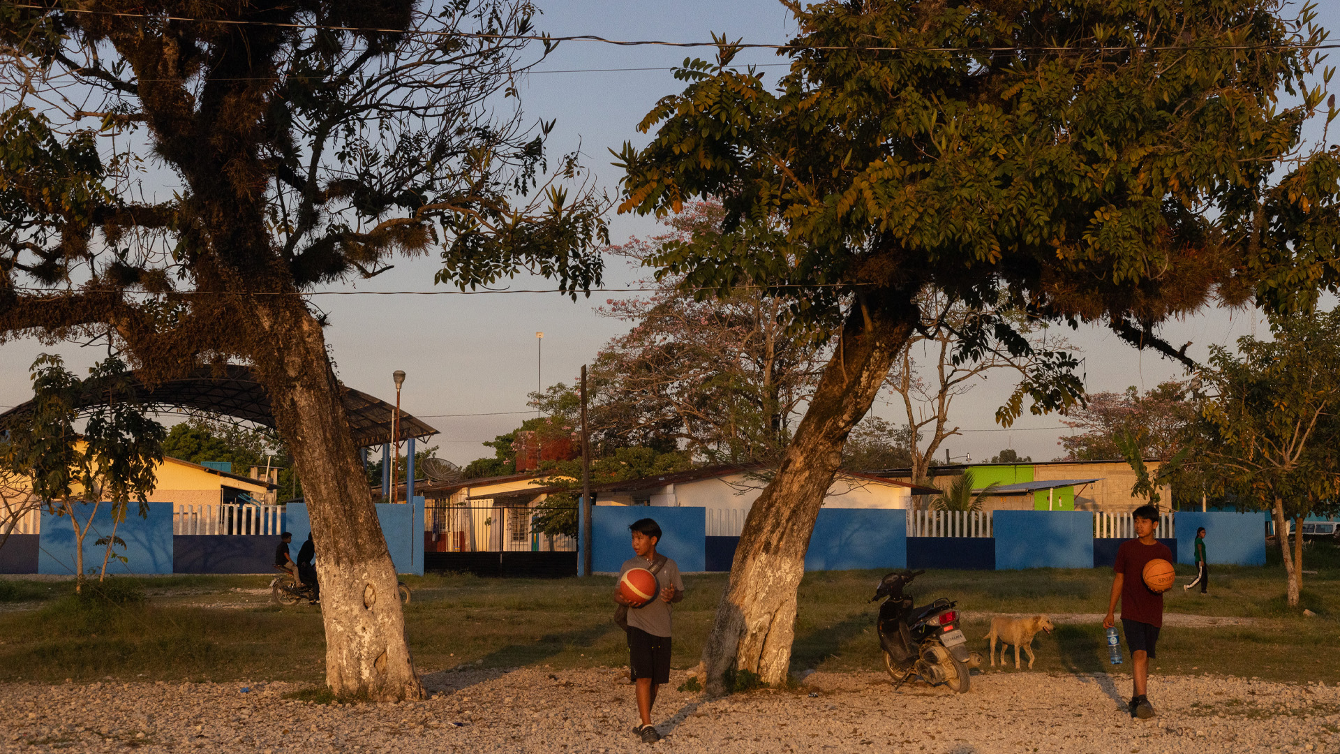 Children playing in the community of Nueva Palestina, in Chiapas.