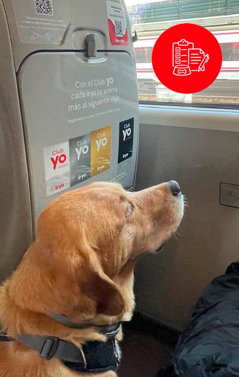 Larry y la documentación.