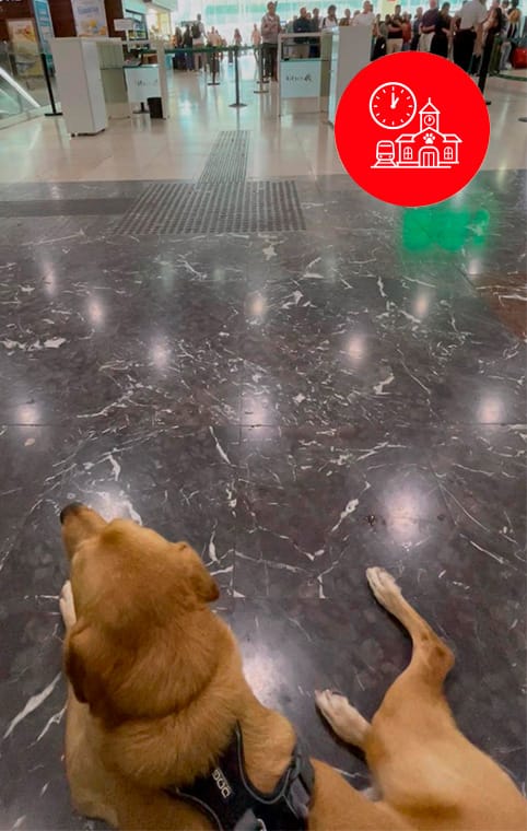 Larry esperando para salir.