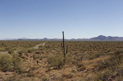 La Tragedia Del Desierto De Sonora Internacional El Pais