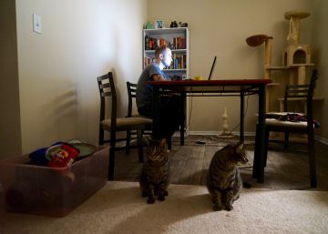 Sobre cómo Trump se beneficia de las falsas noticias