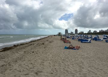 Virus del Zika: una oscura sombra acecha la ciudad del sol