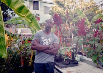 En South Central, la revolución ciudadana crece desde las semillas