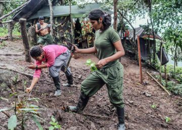 Guerrilleras de las FARC trabajan en un huerto a la espera de trasladarse a las zonas veredales de transici&oacute;n. rn 