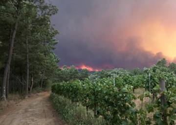Incendio en Portugal: La carretera de la muerte ...