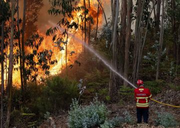 Un bombero combate las llamas en Cabouco, Coimbra, este domingo.