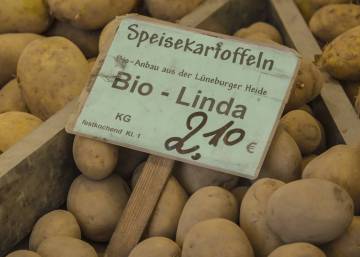 OPINIÓN | La producción ecológica y sus repercusiones en la alimentación