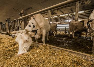 FOTOGALERÍA | Un viaje por la Alemania biológica