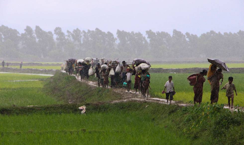 Refugiados rohingya huyen del norte de Myanmar hacia Bangladesh este sábado. 