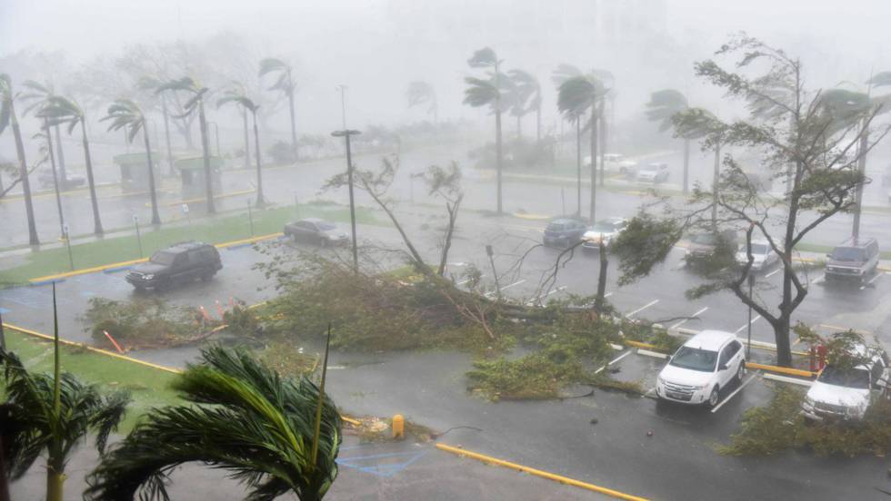 Resultado de imagem para porto rico desastre