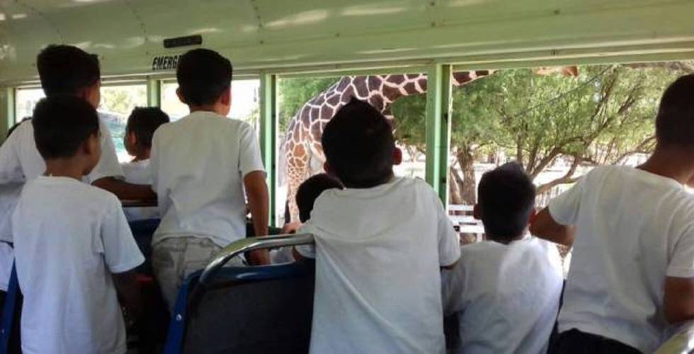 Niños del albergue Unacari, en Sonora, visitan un zoológico Gobierno de Sonora.