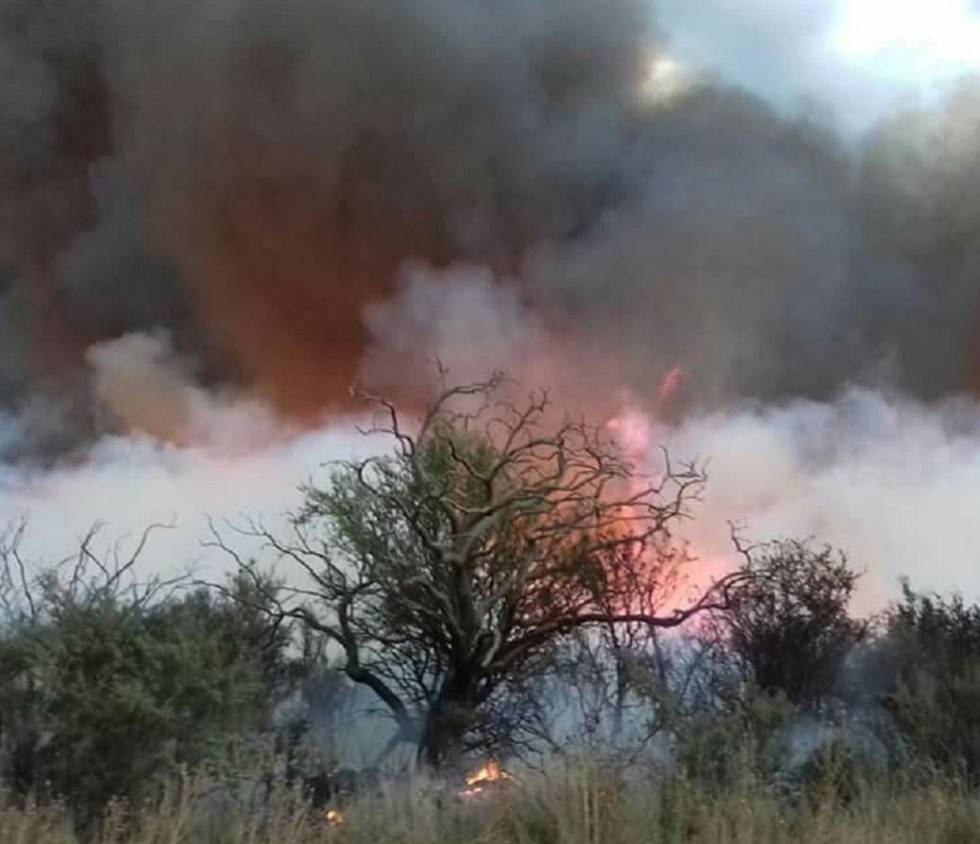 Incendio en la provincia argentina de La Pampa.
