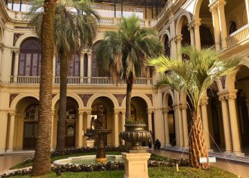 Una palmera de la Casa Rosada es cuestión de Estado