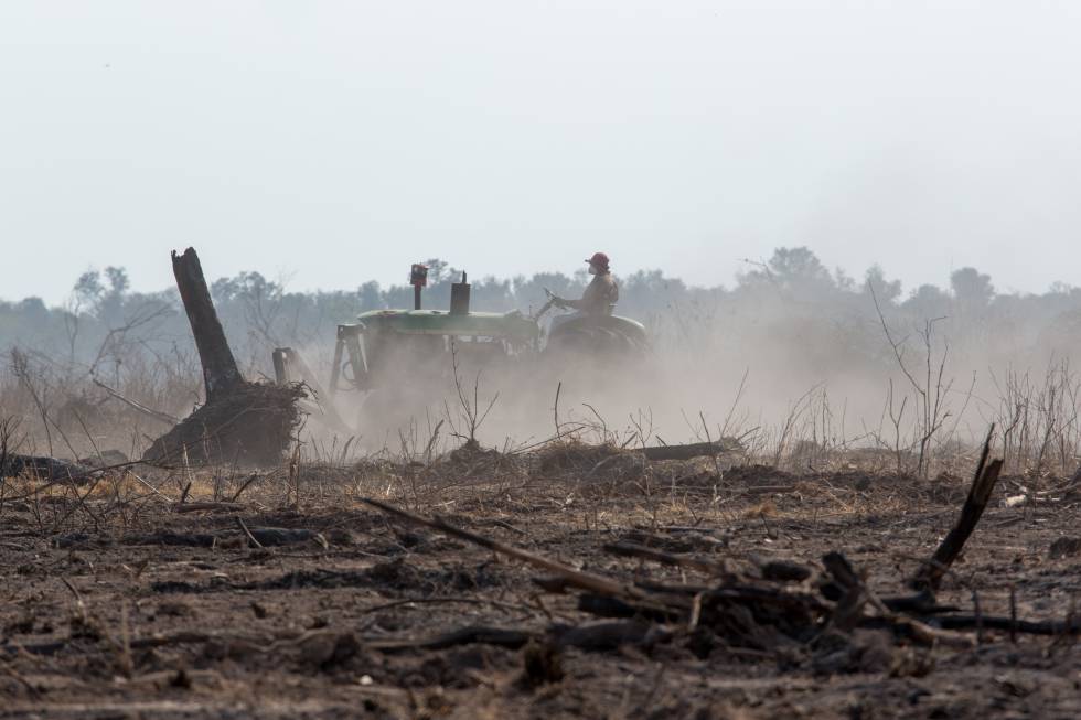 Un tractor limpia las tierras quemadas para poder cultivarlas.