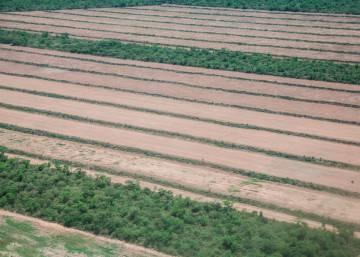 El mortífero avance de la frontera agrícola argentina
