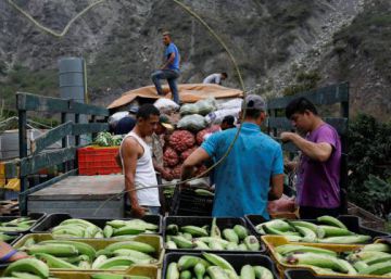 El calvario de sembrar en Venezuela