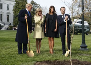 Y el árbol que plantaron Trump y Macron... ¿dónde está?