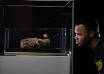 Una porquería en el museo