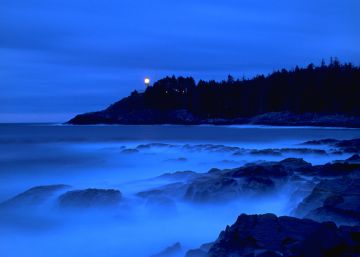 Hallado un pie en la Columbia Británica: y ya van 14