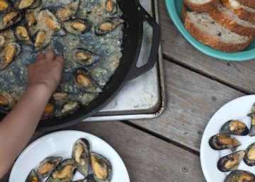 Estos mejillones también han dado ‘positivo’ en opiáceos