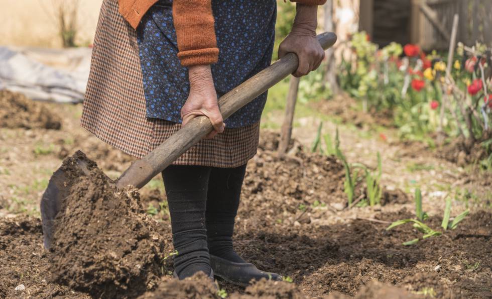 Una mujer trabaja en un jardÃn, en una imagen de archivo.
