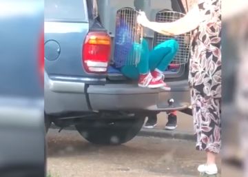 Detenida una mujer en EE UU por llevar a sus nietos en un transportín para perros en el maletero
