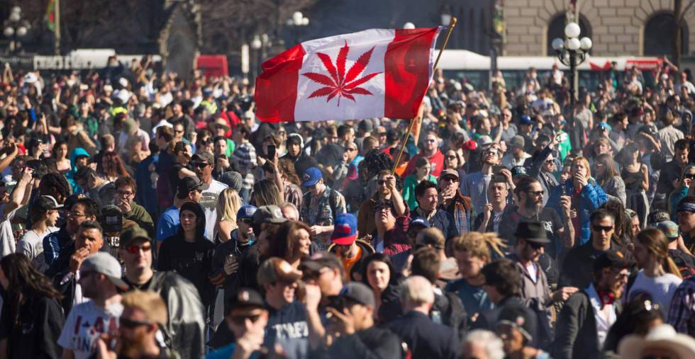 ManifestaciÃ³n por la legalizaciÃ³n de la marihuana en CanadÃ¡. 