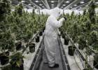 Canadá se convierte en el primer país del G20 en legalizar la marihuana con fines recreativos